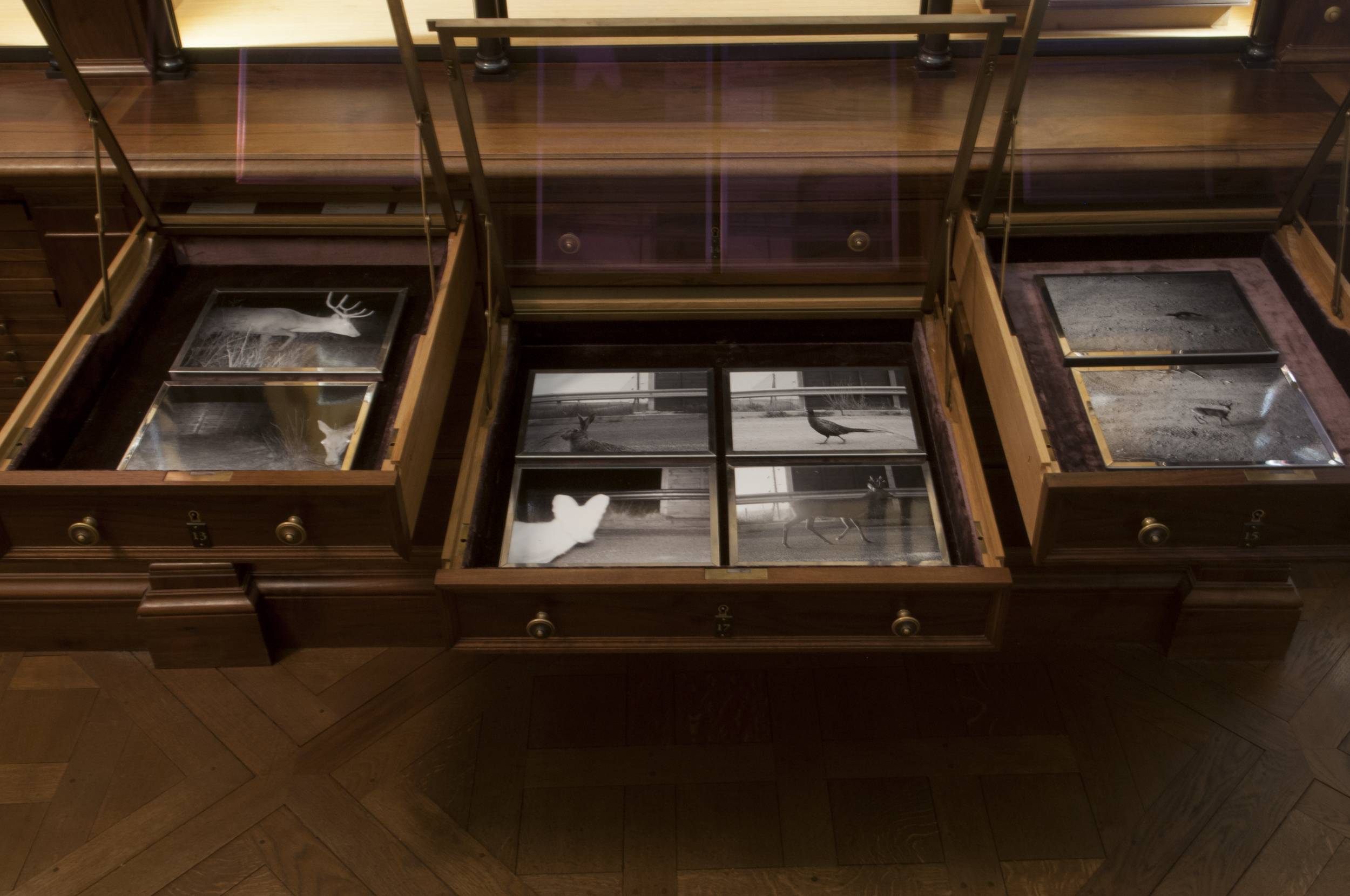 Sophie Calle, Liberté surveillée, 2014, photographie de Béatrice Hatala